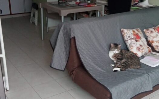 CASA EN VENTA EN TIMIZA