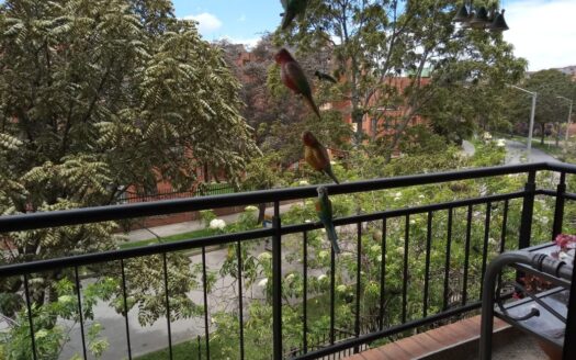 APARTAMENTO EN ARRIENDO – CORTIJO